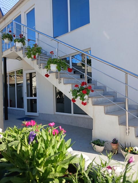 Property building, Spring, Day, Garden, Garden view