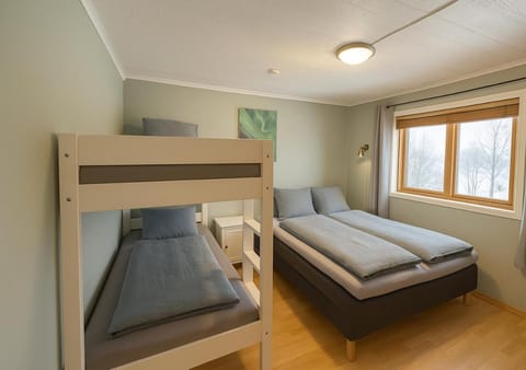 Bed, Photo of the whole room, Bedroom, bunk bed