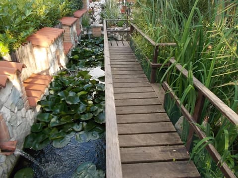 Garden, Decorative detail