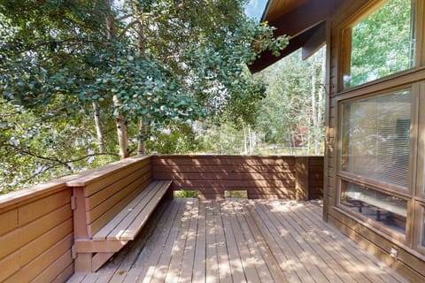 Chamonix Chalet House in Vail