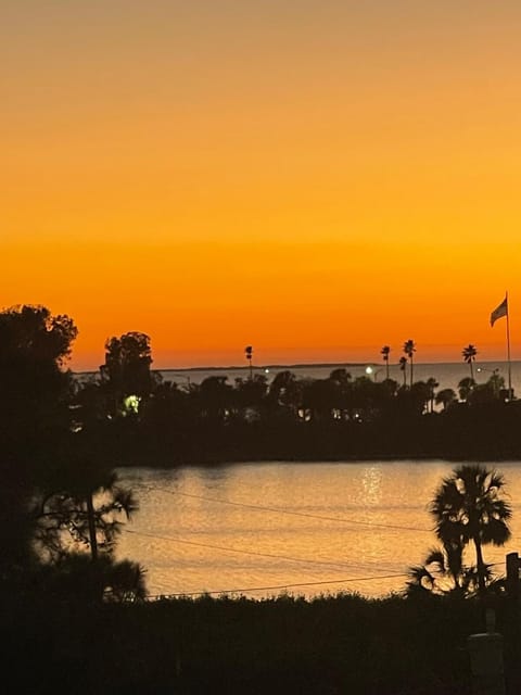 The Tarpon Flat Bright 1BR Downtown Retreat Apartment in Tarpon Springs