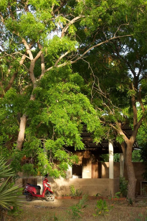 Garden, Garden view
