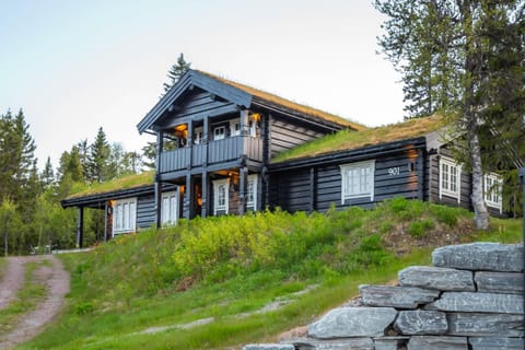 Property view
