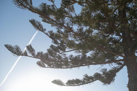 Day, Natural landscape