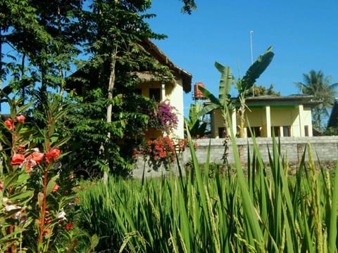 Property building, Garden