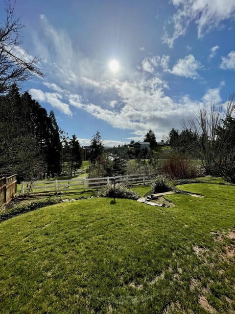 Natural landscape, Garden, Garden view