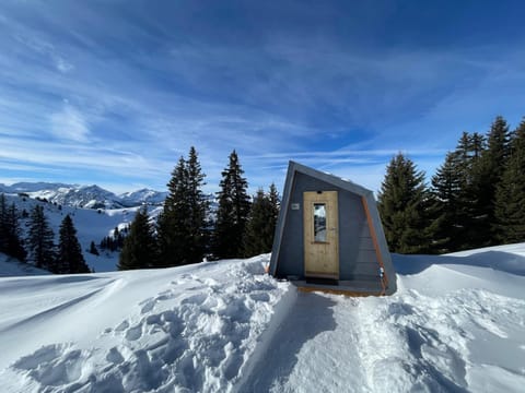 Property building, Winter, Mountain view