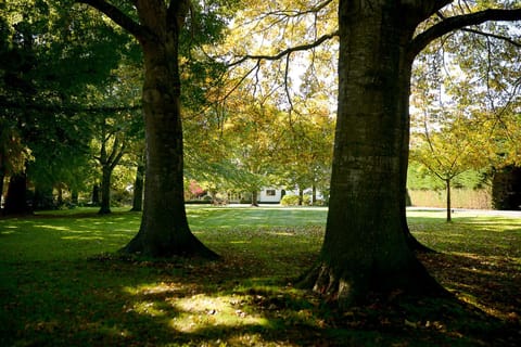Garden, On site, Garden view