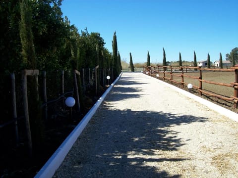 Il Vivaio House in Lazio