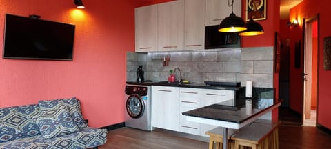 TV and multimedia, Coffee/tea facilities, Kitchen or kitchenette, Living room, Photo of the whole room, Seating area, Dining area, stove, washing machine