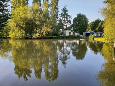 Natural landscape, Garden, Lake view