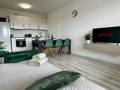 Bed, TV and multimedia, Kitchen or kitchenette, Living room, Photo of the whole room, Seating area, Dining area, Evening entertainment, internet, oven, stove, toaster, kitchen