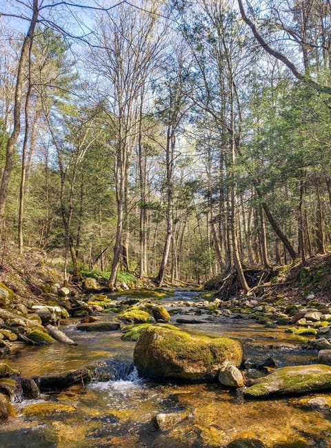 Day, Natural landscape, River view