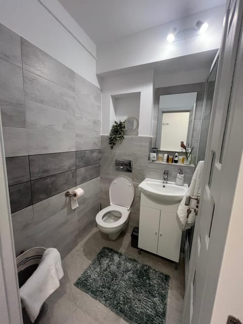 Kali Apartment near Center Apartment in Timisoara