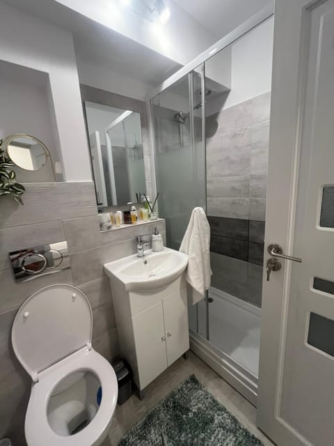 Kali Apartment near Center Apartment in Timisoara