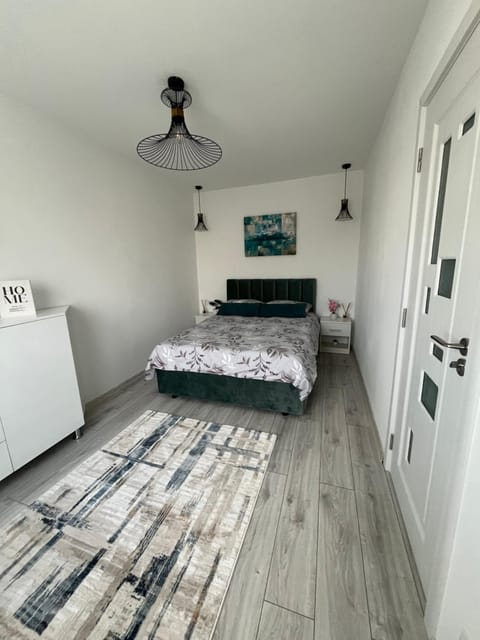 Kali Apartment near Center Apartment in Timisoara