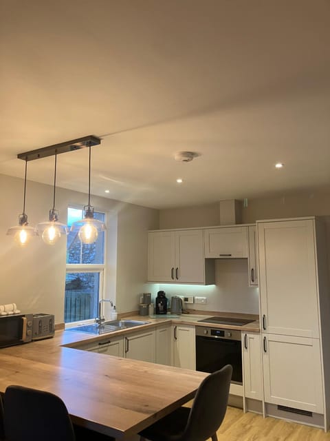 Kitchen or kitchenette, Dining area, dishwasher, oven, stove