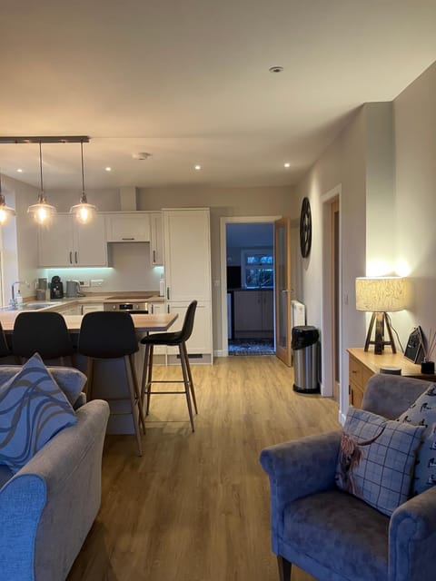 Kitchen or kitchenette, Living room, Seating area, Dining area, stove