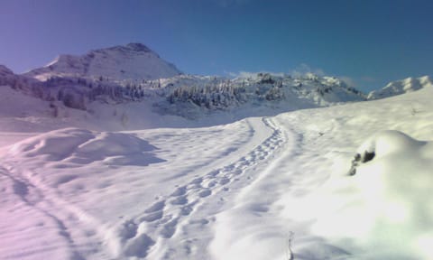 Natural landscape, Winter