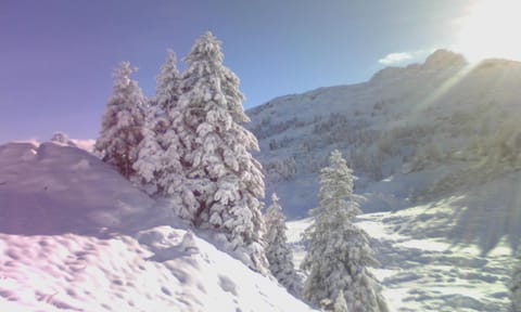 Natural landscape, Winter