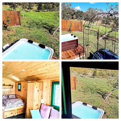 Natural landscape, Hot Tub, Garden view