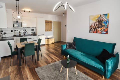 TV and multimedia, Kitchen or kitchenette, Living room, Seating area, pet friendly