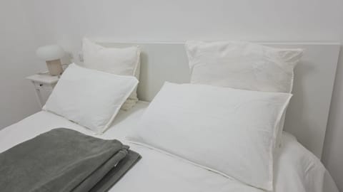 Entire Apartment Near Brignole Apartment in Genoa