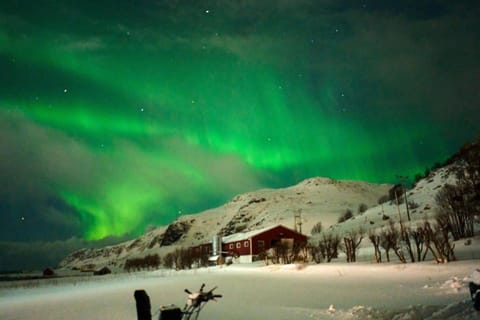 Night, Natural landscape, Winter