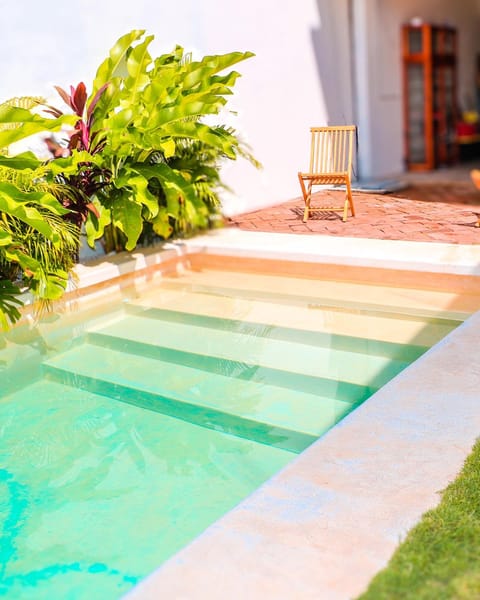 Patio, Day, Garden, Garden view, Pool view, Swimming pool