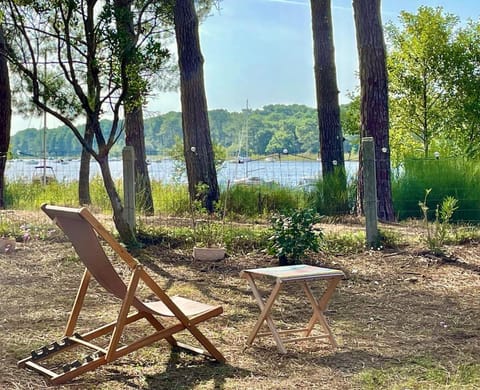 Garden, Lake view, sunbed