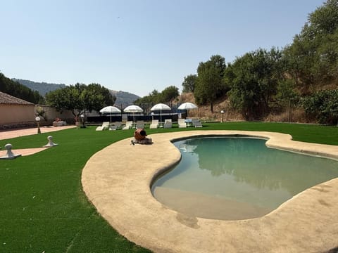 Property view