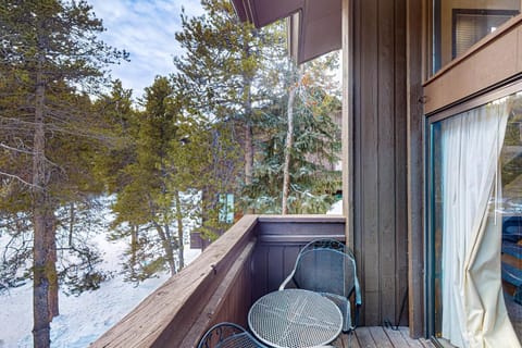 Timber Creek Bldg B #305 Apartment in Copper Mountain