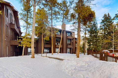 Timber Creek Bldg B #305 Apartment in Copper Mountain