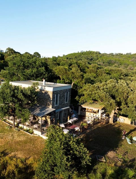Property building, Spring, Day, Natural landscape, Bird's eye view