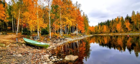 Beach, Autumn, Lake view