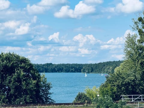 Lake view