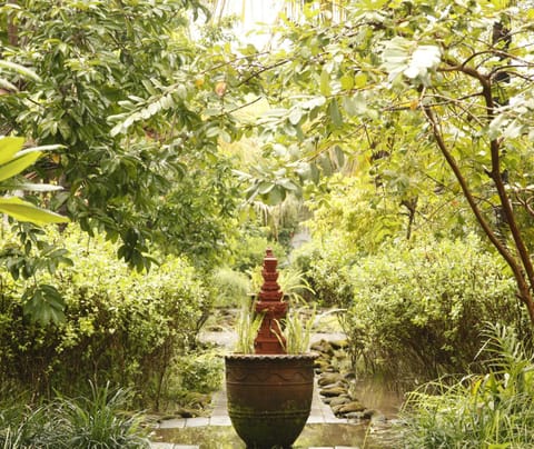 Garden, Garden view, Garden view