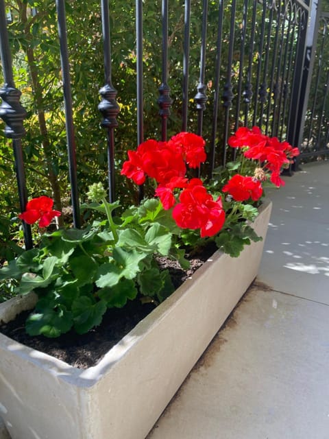 Villa 121 Franschhoek Lermitage Apartment in Franschhoek