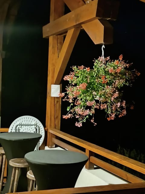 Night, Garden, Garden view