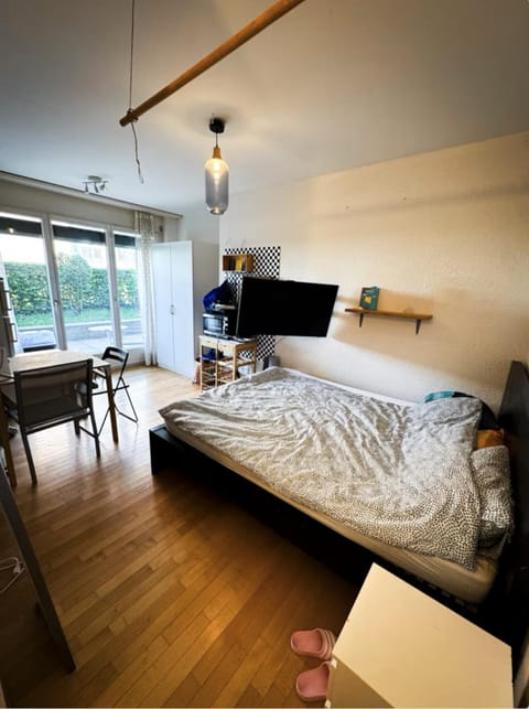 Studio next to Sihlcity! Apartment in Zurich City