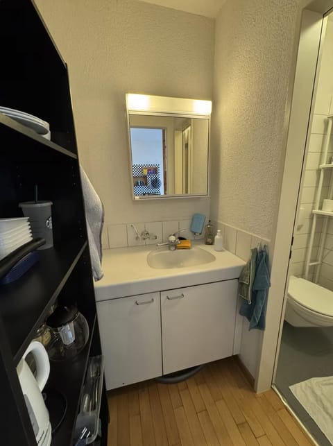 Studio next to Sihlcity! Apartment in Zurich City