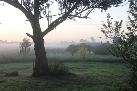 Natural landscape