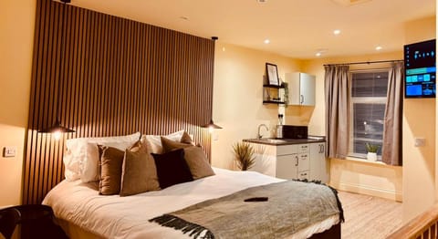 Bed, TV and multimedia, Kitchen or kitchenette, Living room, Photo of the whole room, Seating area, Bedroom