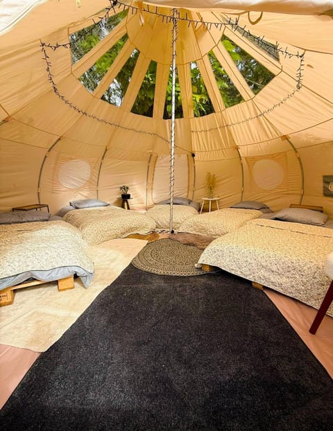 Bed, View (from property/room), Living room, Bedroom