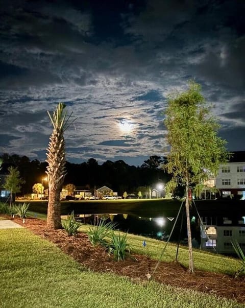 Patio, Night, Natural landscape