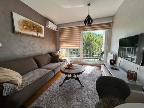 TV and multimedia, View (from property/room), Balcony/Terrace, Living room, Seating area