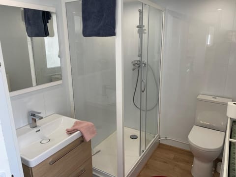 Shower, Toilet, Bathroom, towels