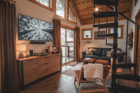 TV and multimedia, Living room