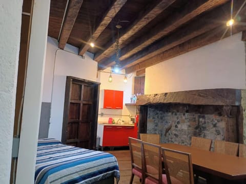 Tizapan 01 NEW 1BE&1BA Apartment in Mexico City