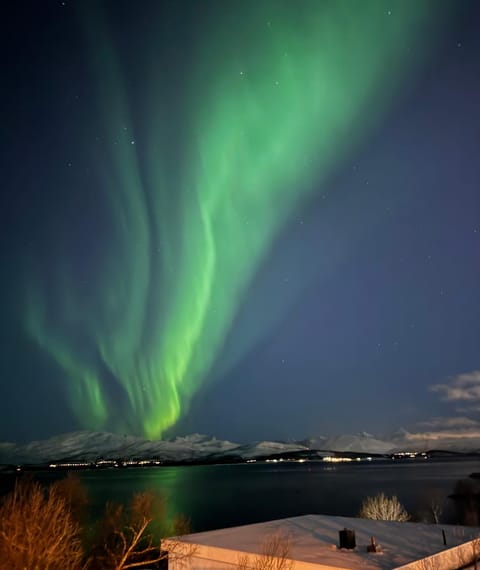 Great location, close to Telegrafbukta! Apartment in Tromso